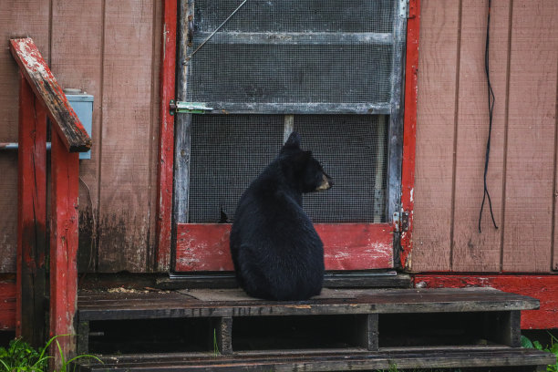 那里是谁?图片下载