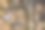 动物的脚印图片下载