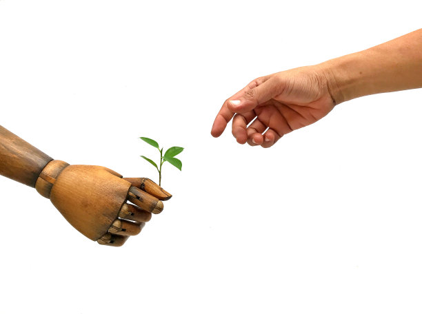 植树的想法图片下载