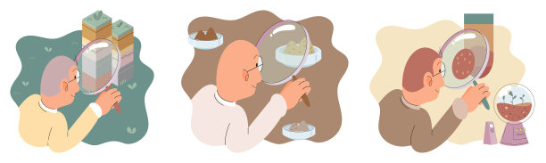 土壤分析和土壤污染或结构图片下载