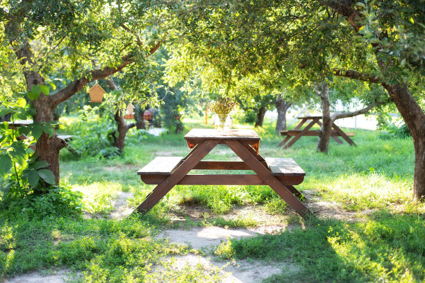 后院果园野餐的地方。在安静的地方，美丽的草坪上有木制的野餐桌子和长椅。板凳上。美丽的野餐区与木制桌子在夏季花园。在公园休息的地方。图片下载