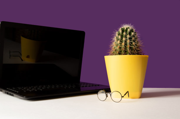 仙人掌在黄色的花盆里正站在笔记本电脑旁边，眼镜则躺在白色的桌子上，紫色的背景。有选择性的重点。图片下载