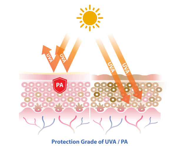 PA在白色背景上阻挡UVA射线向量。图片下载