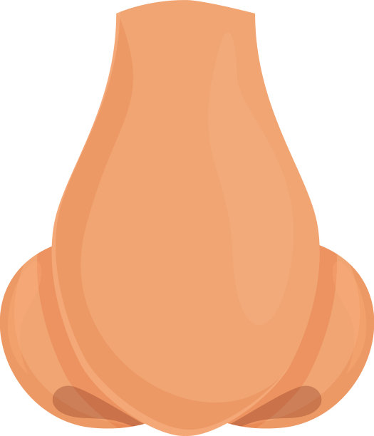 内鼻整形图标卡通鼻子图片下载