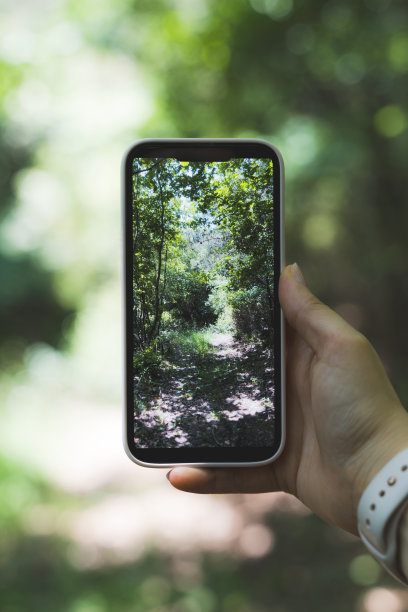 女人在大自然拍摄日落照片图片下载