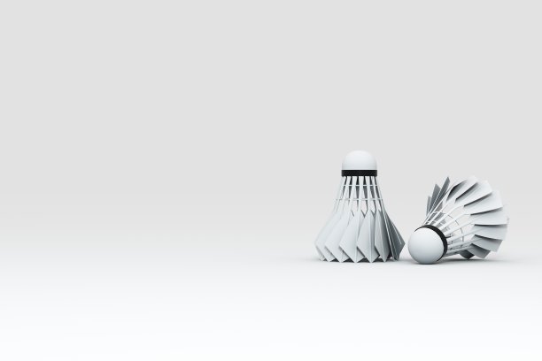 白色背景上的毽子图片下载