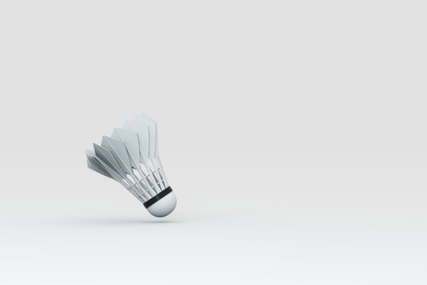 白色背景上的毽子图片下载