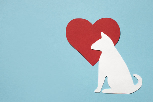 蓝色背景上一只狗和一颗红心的纸剪影。平铺，放置文字。兽医护理或动物护理图片下载