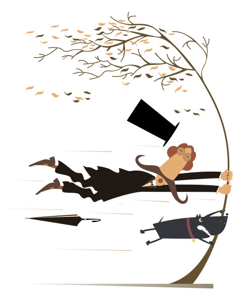 糟糕的天气，飓风，一个受惊吓的人和一只抱着树的狗图片下载