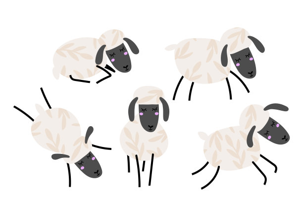 可爱的绵羊被隔离图片下载