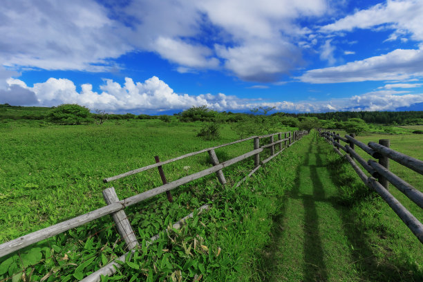 摇摇欲坠的牧场fenc图片下载