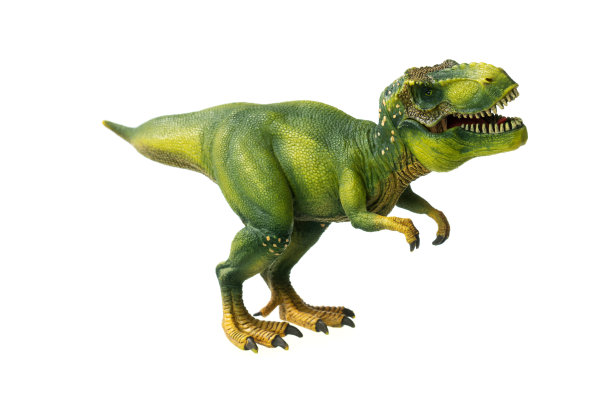 霸王龙玩具。物体在白色背景。图片下载