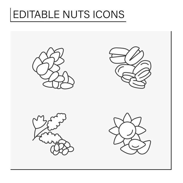 坚果线图标设置图片下载