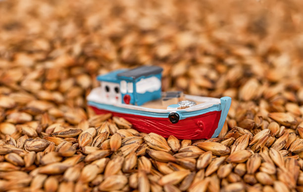 概念:向世界市场运输粮食的问题图片下载