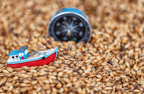 概念:向世界市场运输粮食的问题图片下载