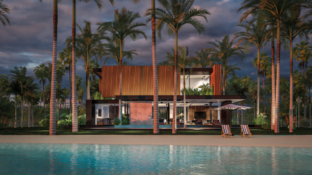 3d渲染现代住宅与木板立面的大海或海洋在日落图片下载