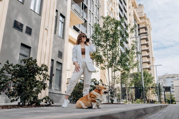 迷人的女人穿着白色西装和太阳镜走在街上与威尔士柯基彭布罗克狗和电话图片下载