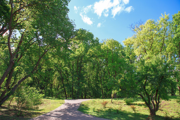 公园内人行道图片下载
