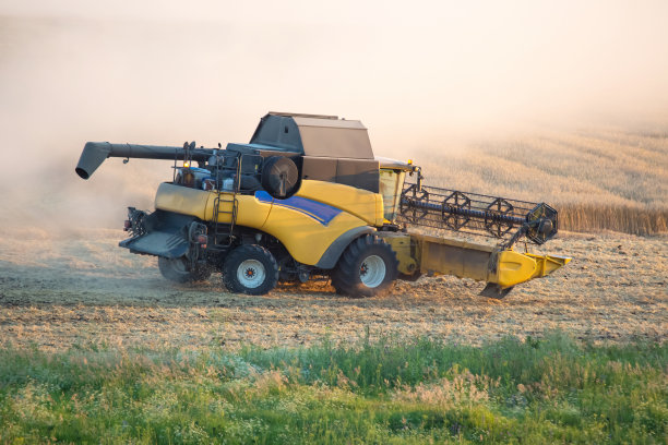 专用的机器在田间进行联合作业和收割小麦。食品工业和农学图片下载