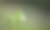 豆芽，植物的两片叶片与浅的景深上模糊的背景。图片下载