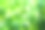可持续商业或绿色商业背景，具有可持续发展的环境、社会和治理的ESG图标概念，并在绿色背景的网络上连接伦理商业图片下载