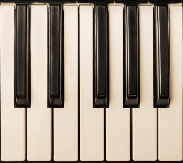 钢琴键盘一个八度图片下载