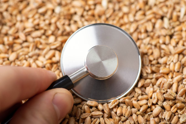 医生听诊麦粒图片下载