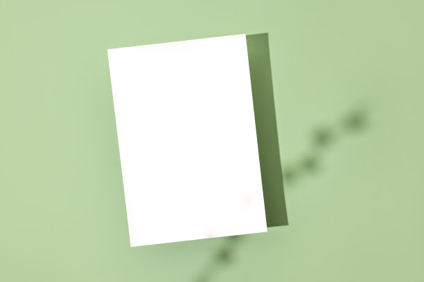 模板纸与植物阴影在柔和的绿色背景，伟大的设计为任何目的。抽象的背景。旗帜模板。广告图片下载