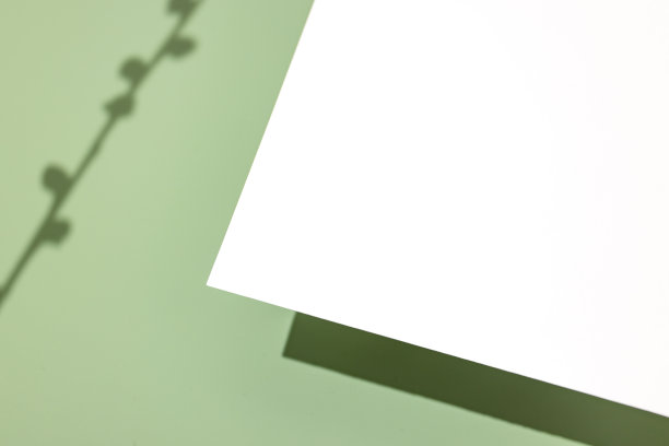 模板纸与植物阴影在柔和的绿色背景，伟大的设计为任何目的。抽象的背景。旗帜模板。广告图片下载