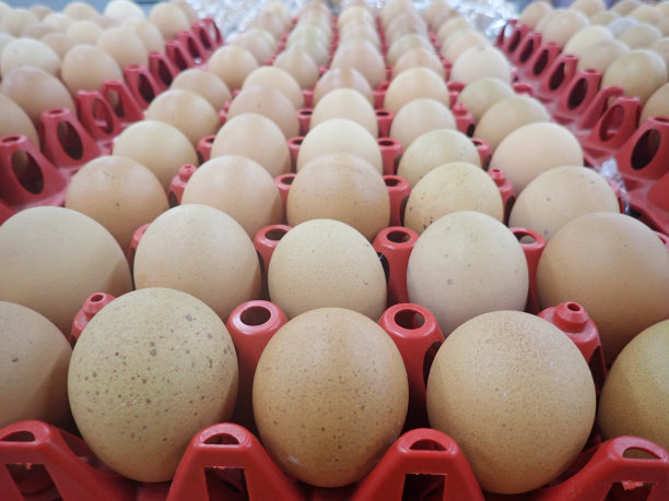 超市货架上的零售鸡蛋背景模糊图片下载
