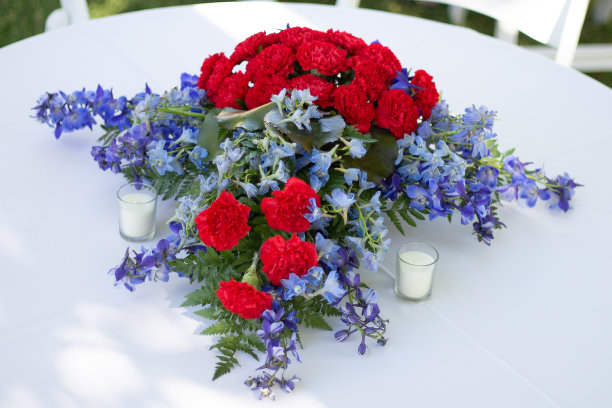 红色和蓝色花卉中心，俯视图图片下载