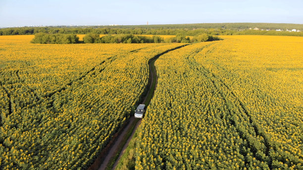 一辆银色的小型公共汽车穿过田野。汽车旅行图片下载
