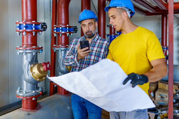 让我照一张平面图图片下载