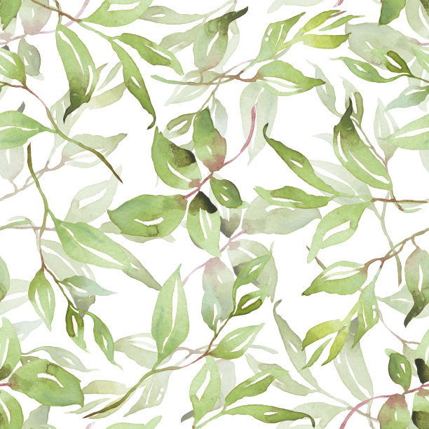 绿叶无缝图案。水彩插图图片下载
