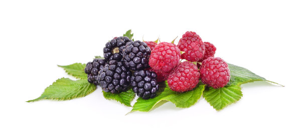 成熟的覆盆子和黑莓。图片下载