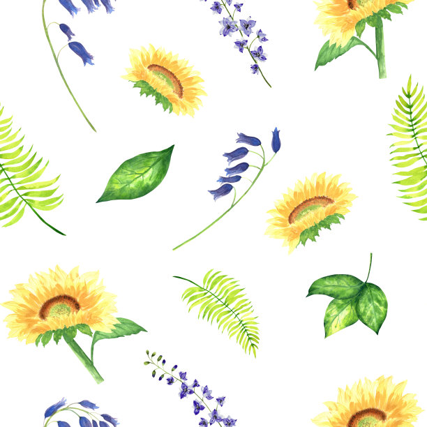 手绘水彩花卉图案的花园花和树叶。向日葵、风信子、飞燕草和蕨类植物图片下载