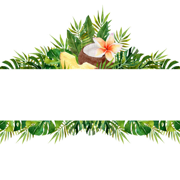 水彩框架的热带树叶和水果在孤立的白色背景图片下载