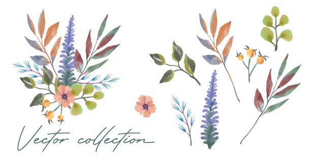 植物的分支。鲜花婚礼概念。植物的海报,邀请。矢量设计方案的贺卡或邀请图片下载