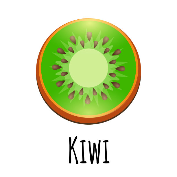 猕猴桃切片特写图标孤立在白色图片下载