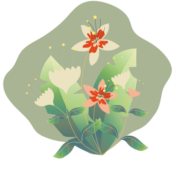 精致的热带花朵。白花绿叶图片下载