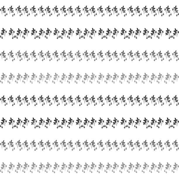 花在灰色阴影的白色背景，纹理图片下载