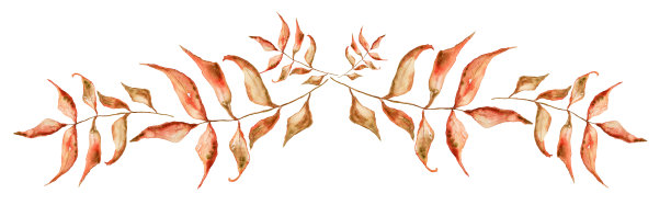 干枝与叶框边水彩图片下载