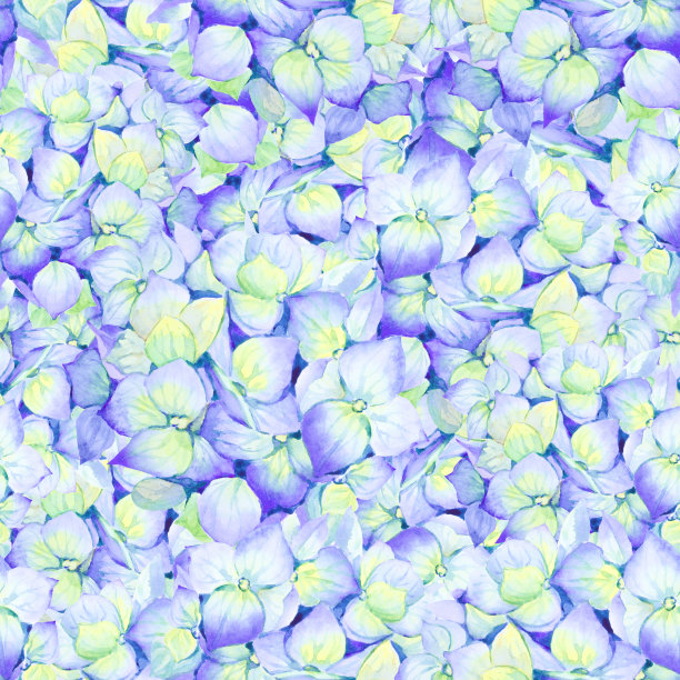 天衣无缝的蓝黄色绣球花图案。花的背景。手绘水彩插图。图片下载