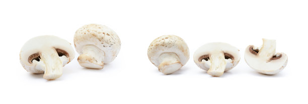 什么新鲜的蘑菇图片下载