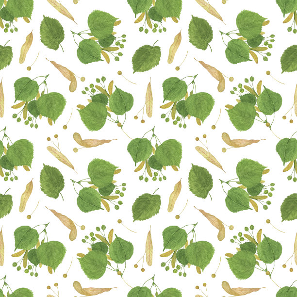 椴树无缝图案与种子，树叶，树枝，蜂蜜植物水彩手绘花卉插图，树叶，绿叶重复装饰纺织品，家居装饰图片下载