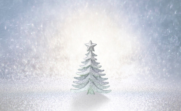 模板卡片-圣诞树在一个闪闪发光的背景。图片下载