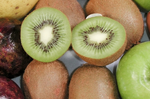 前景是猕猴桃图片下载