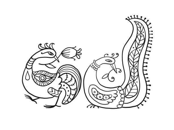 一对神奇的鸟被隔离在白色的艺术图片下载