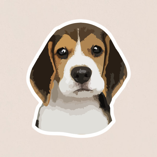 可爱的小猎犬贴纸与白色边框图片下载