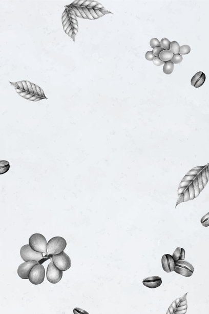 正上方白色背景的食物照片图片下载